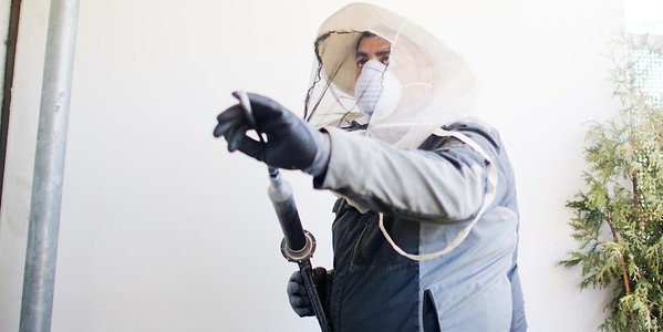 شركة مكافحة الرمة ام القيوين