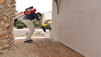 شركة مكافحة الرمة عجمان