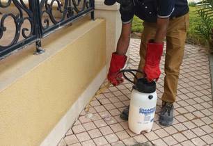 شركة مكافحة الرمة ابوظبي