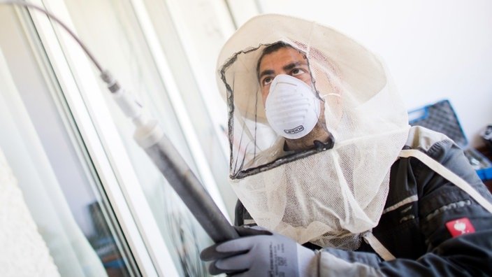 شركة مكافحة الرمة الشارقة